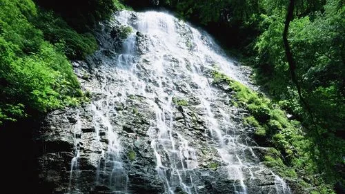 绿色先进